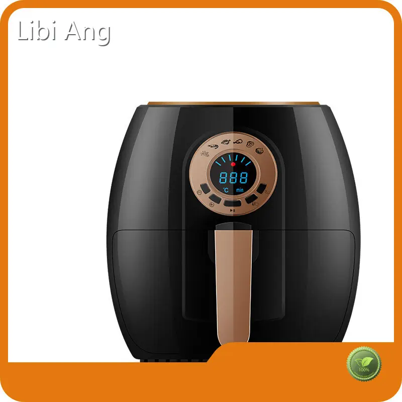 Modernwholesale Airfryer for Home LBA-S16 D/P (can Be Discussed) 1