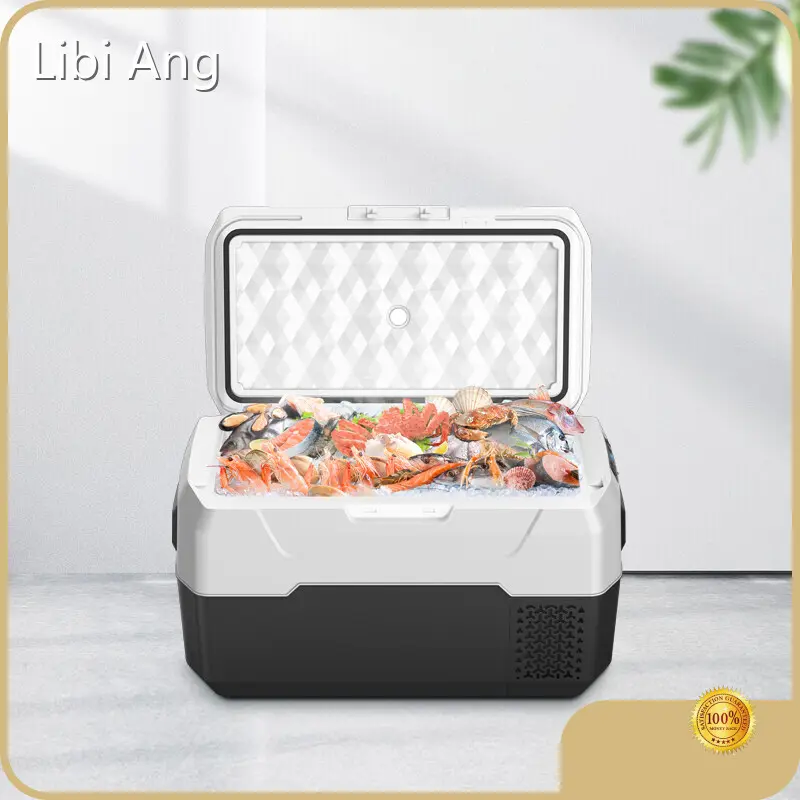 Big Lots Small Kitchen Appliances Negotiate by Libi Ang 1