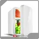 Custom Mini Fridge Best Supplier for Industry8L Mini Fridge Small Car Refrigerator Hot and Cold Dual-energy Household Car Fridge for Car and Home 1