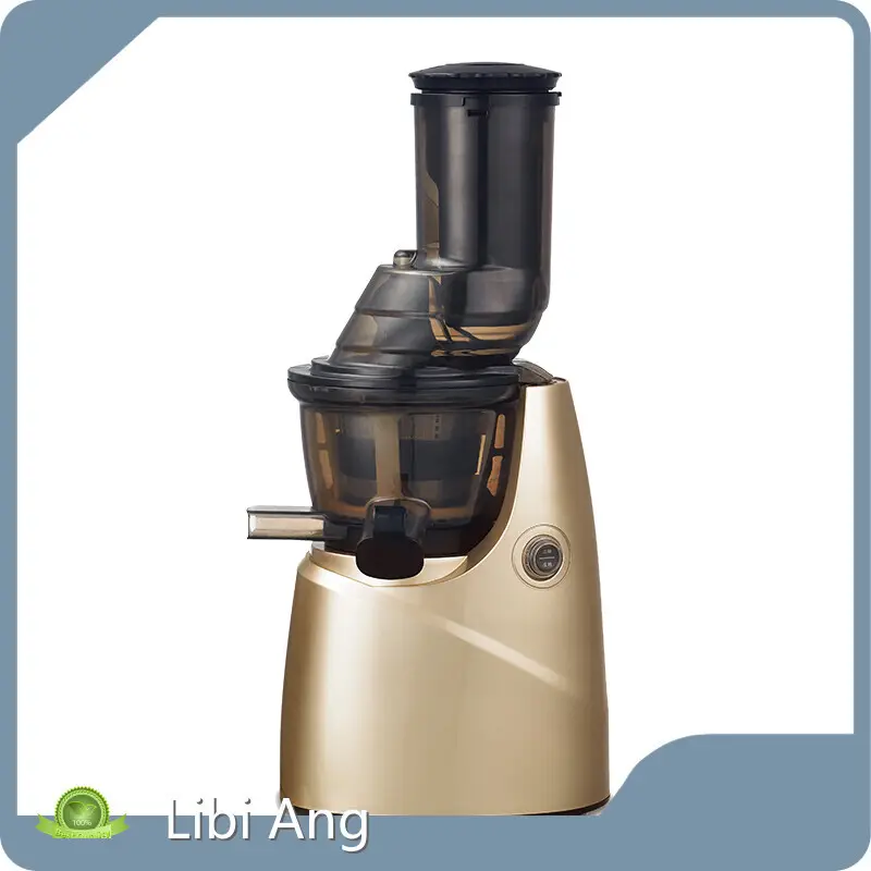 Best Mini Juicer Blender Ningbo Port LBA-Z23with Good Price 1