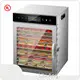 For Home Best Food Dehydrator by Libi Ang 1