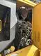 2nd Hand Construction Equipment 15763 KG Within 7daysvendor 9
