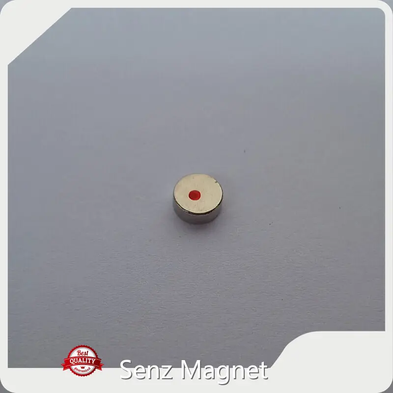 Permanent Magnet Supplier Customized - - Senz Magnet 1