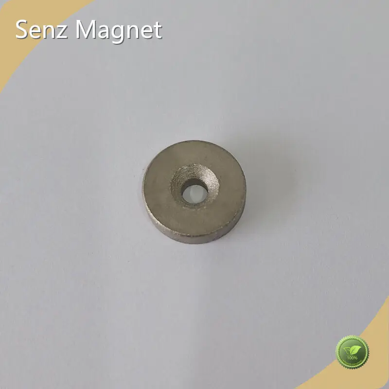 Neodymium Permanent Magnets Supply Customized 1