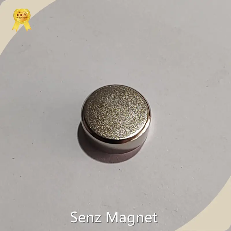 Senz Magnet Tiny Neodymium Magnets D25x10mmfactory 1