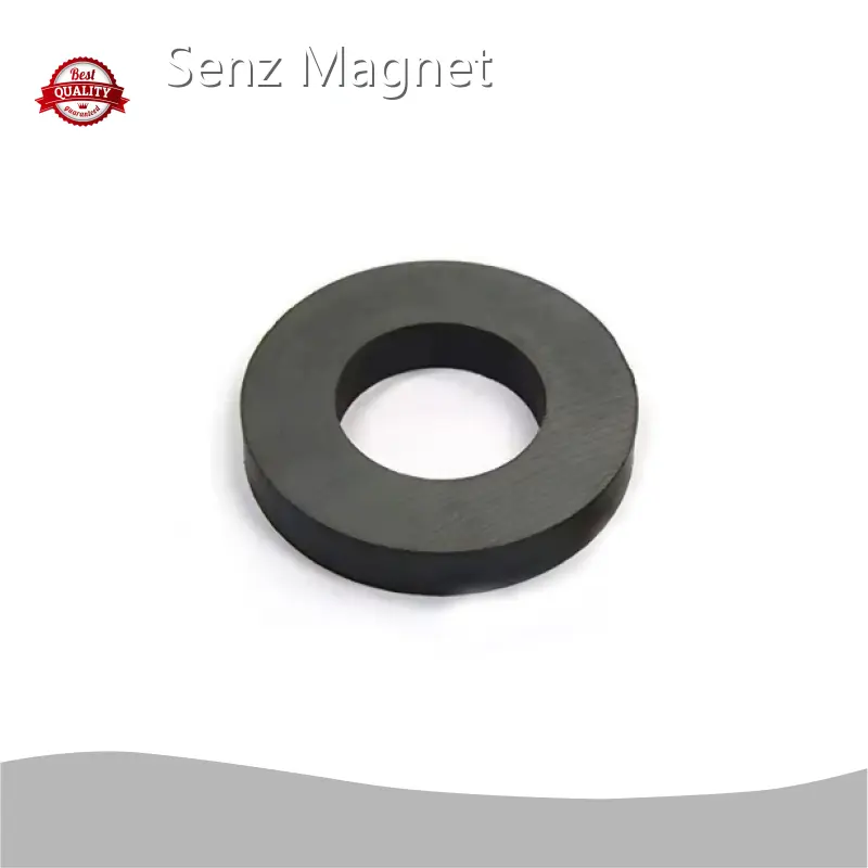 Senz Magnet Ferrite Magnet Customizeddirectly Sale 1