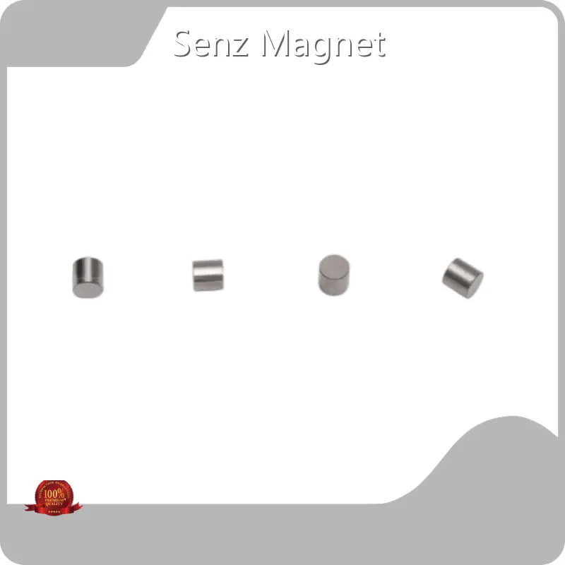 Alnico Magnet SM-047891 by Senz Magnet 1