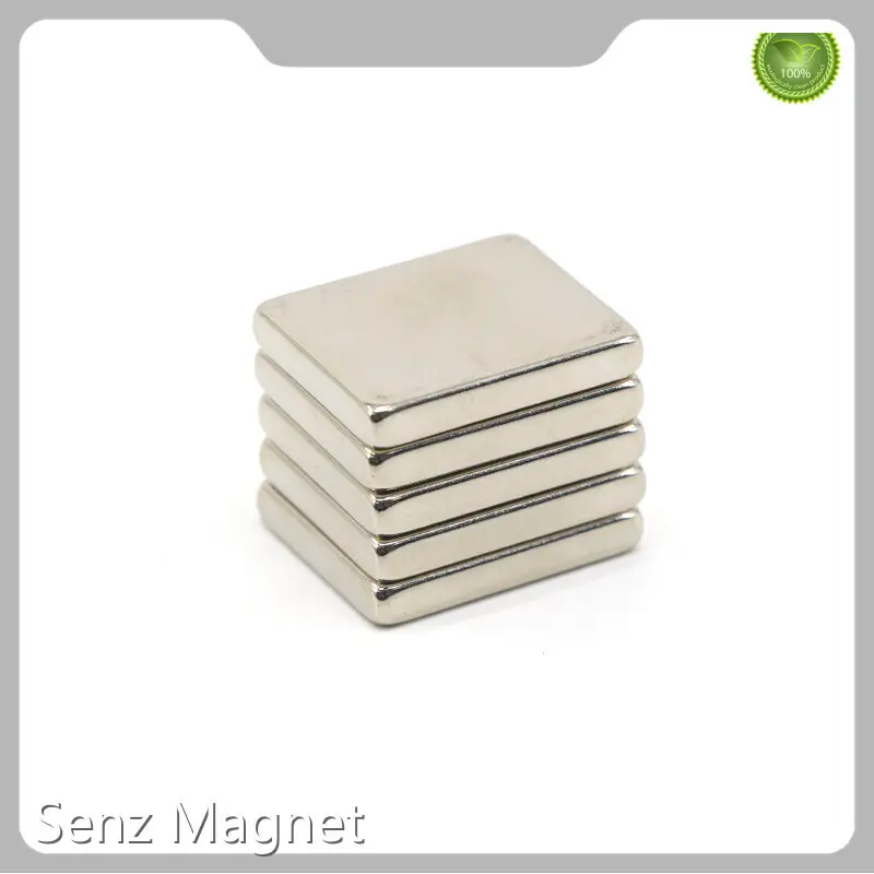 High Temperature Magnets Silver - - Senz Magnet 1