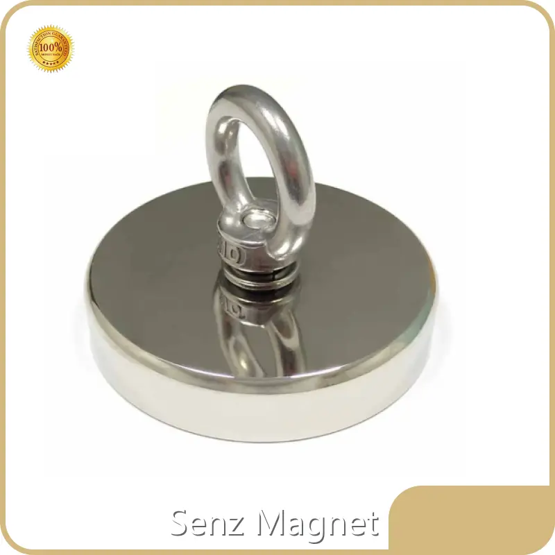 Niron Magnet Ndfeb Magnet & Metaldirectly Sale 1