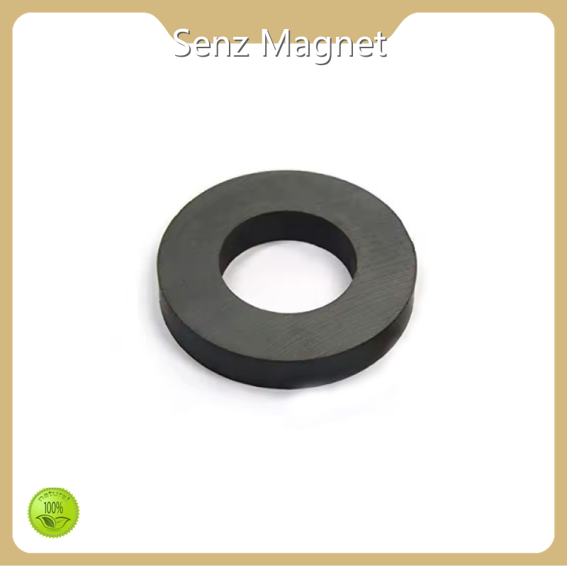 Permanent Magnet D60xd30x8mm Wholesale - Senz Magnet 1