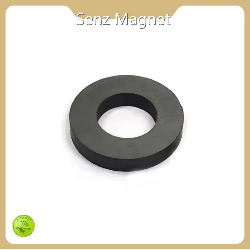 Permanent Magnet D60xd30x8mm Wholesale - Senz Magnet 1
