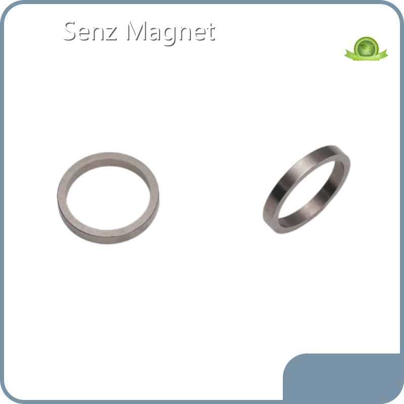 Senz Magnet Permanent Lifting Magnet SM-047893 Permanent Lifting Magnetseries 1