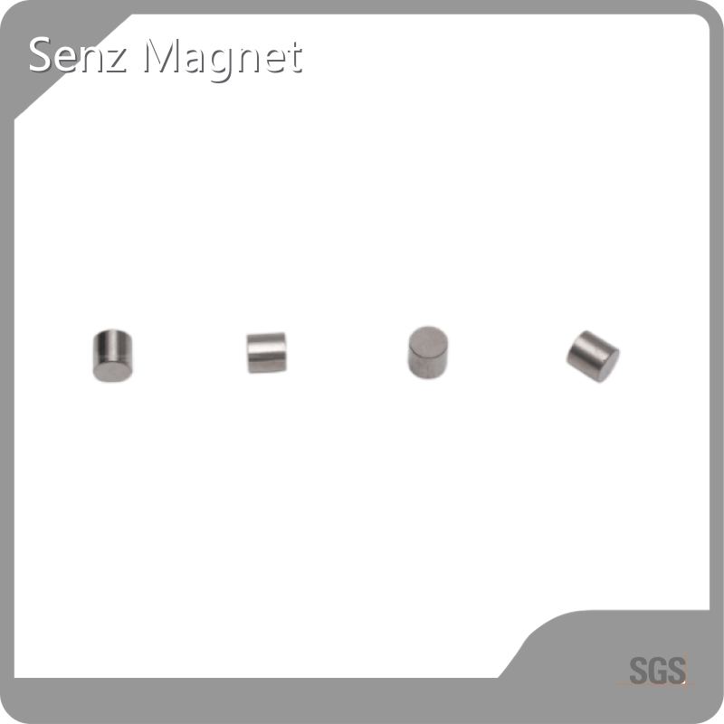 Senz Magnet Soft Magnetic Composites D20x15mmsupplier 1