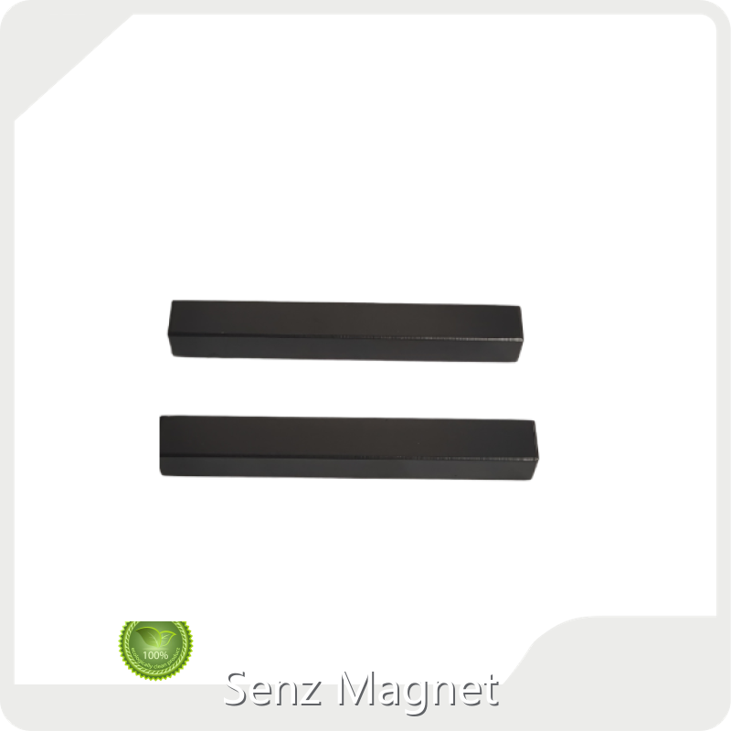 Custom Rare Earth Permanent Magnets 1