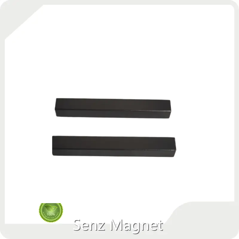 Custom Rare Earth Permanent Magnets 1