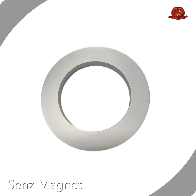 Senz Magnet Neodymium Magnet SM-0315201factory Price 1