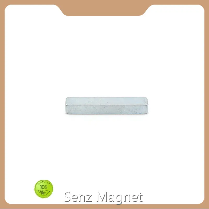 Permanent Magnets for Sale F20x4x4mm Wholesale - Senz Magnet 1