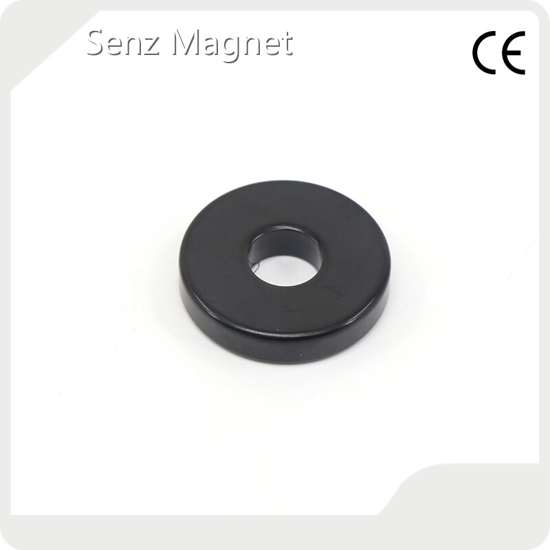 Magnet Manufacturing Customized Bfactory 1