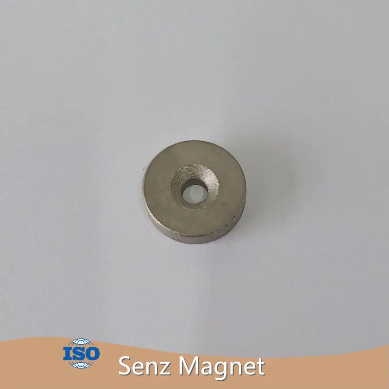 Ceramic Permanent Magnet D20xD9-5x5mm by Senz Magnet 1