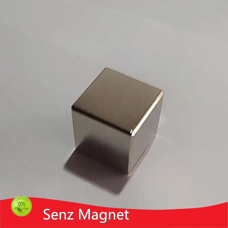 Neodymium Permanent Magnets Customized by Senz Magnet 1