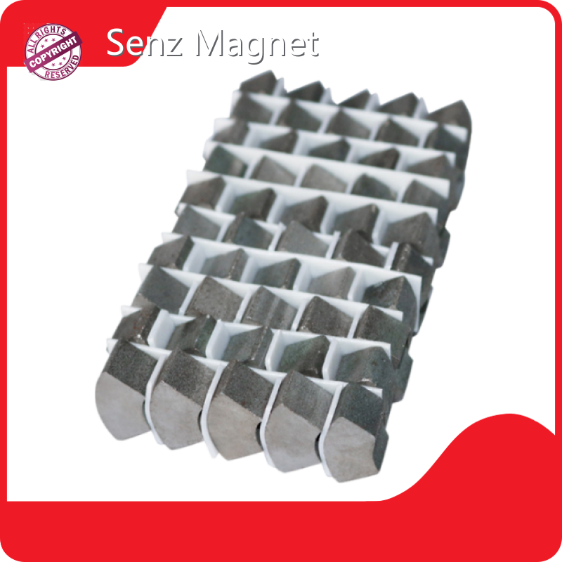Senz Magnet Magnets Supplier SM-053563 Magnets Supplierfactory Direct Supply 1