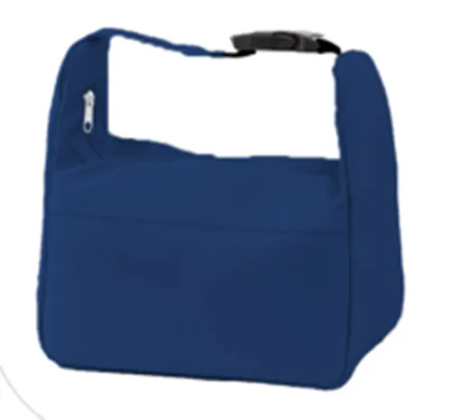 Designer Lunch Bags for Ladies 40*34*52CM/ 50PCS Wholesale - HAPNT 3