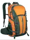 Bags Wholesale Please Contact Us by HAPNT-4 3