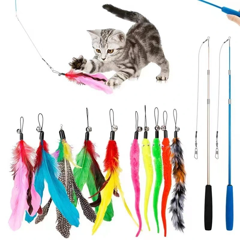 Jouets en plumes pour chat, 2 baguettes rétractables et 10 teasers de rechange avec recharges de cloche, attrape interactif et exercice amusant pour chaton 1