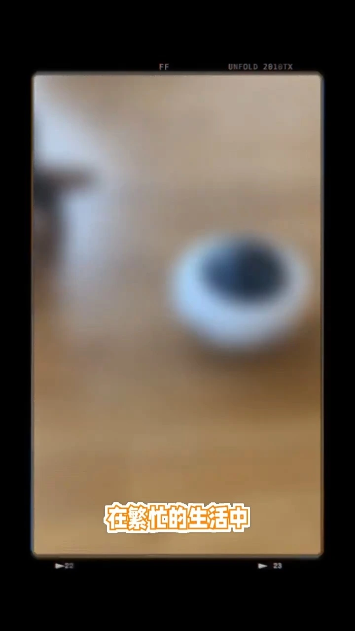 Jouets interactifs pour chats d'intérieur, plumes mobiles automatiques, exercice amusant &, jouet d'épilation, rechargeable par USB-xinchen 1