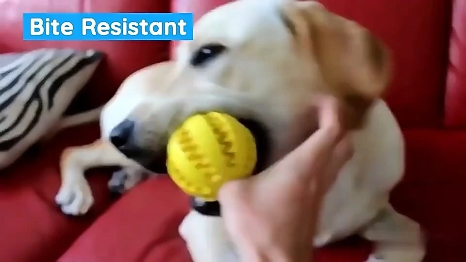 Xinchen – jouet à mâcher pour animaux de compagnie, balle en caoutchouc souple durable, nettoyage des dents, fuite de nourriture, jouets interactifs pour chiens, vente en gros, offre spéciale 1