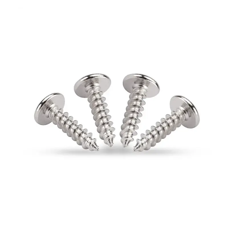 High-quality Large Head Wood Screws Supply 2