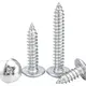 Best Long Self Tapping Screws Price List 3