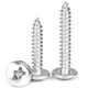 Best Long Self Tapping Screws Price List 4