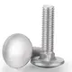 YPH Decorative Carriage Bolts DINSupply 2