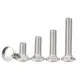 YPH Decorative Carriage Bolts DINSupply 5