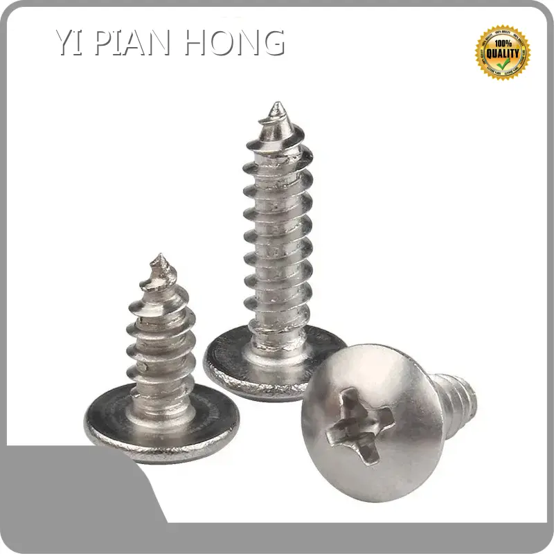 High-quality Large Head Wood Screws Supply 1