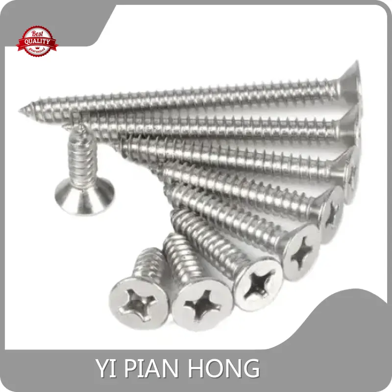 Beststainless Steel Screws for Outdoor Use 100% Cartons+Plastic+Bags+Pallet 1
