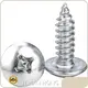 Galvanized Self Tapping Screws 25-30 Days - - YPH 1