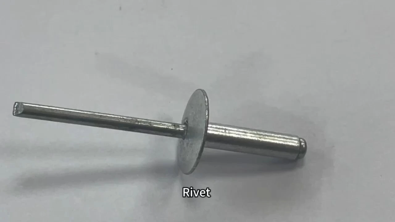 Custom Logo 1/8 3/16 Aluminum Steel Large Flange Head Pop Rivets with Free Samples 1