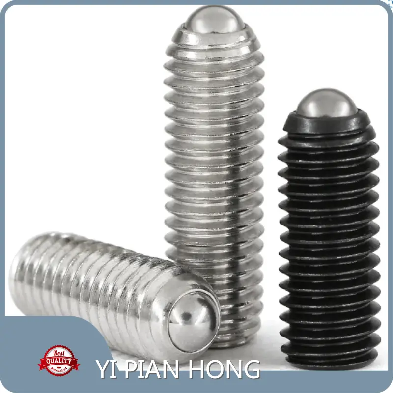 Custom Decorative Stainless Steel Screws Supply 1