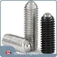 Custom Decorative Stainless Steel Screws Supply 1