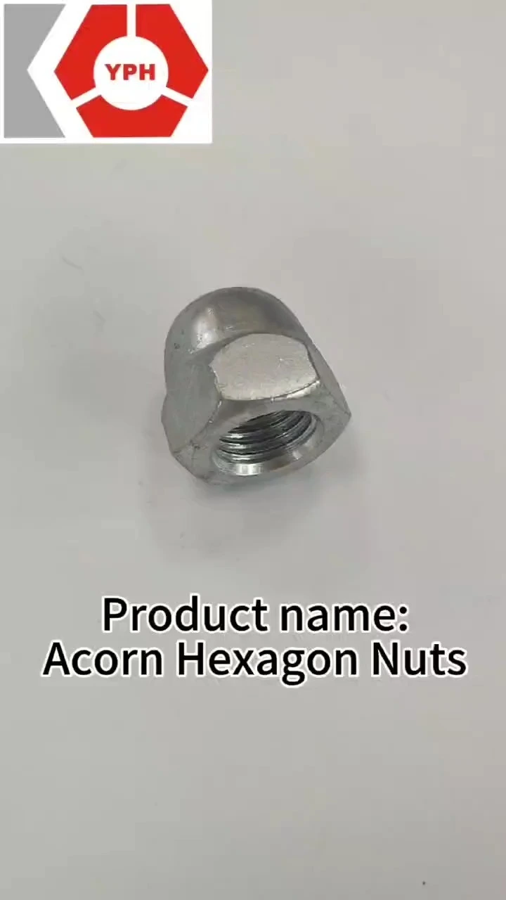 Tapas de protección de tuerca de cúpula de bellota con cerradura de cubierta de tuerca de cuerpo hexagonal SS 304 de acero inoxidable 1