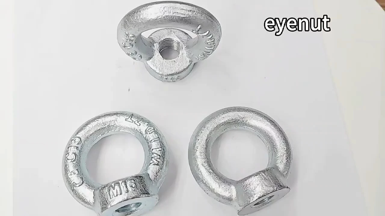 Écrou à anneau de levage de Style allemand en acier inoxydable 304, écrous à œil certifiés Din582 1
