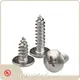 YPH Custom Stainless Steel Fasteners PlainSupply 1