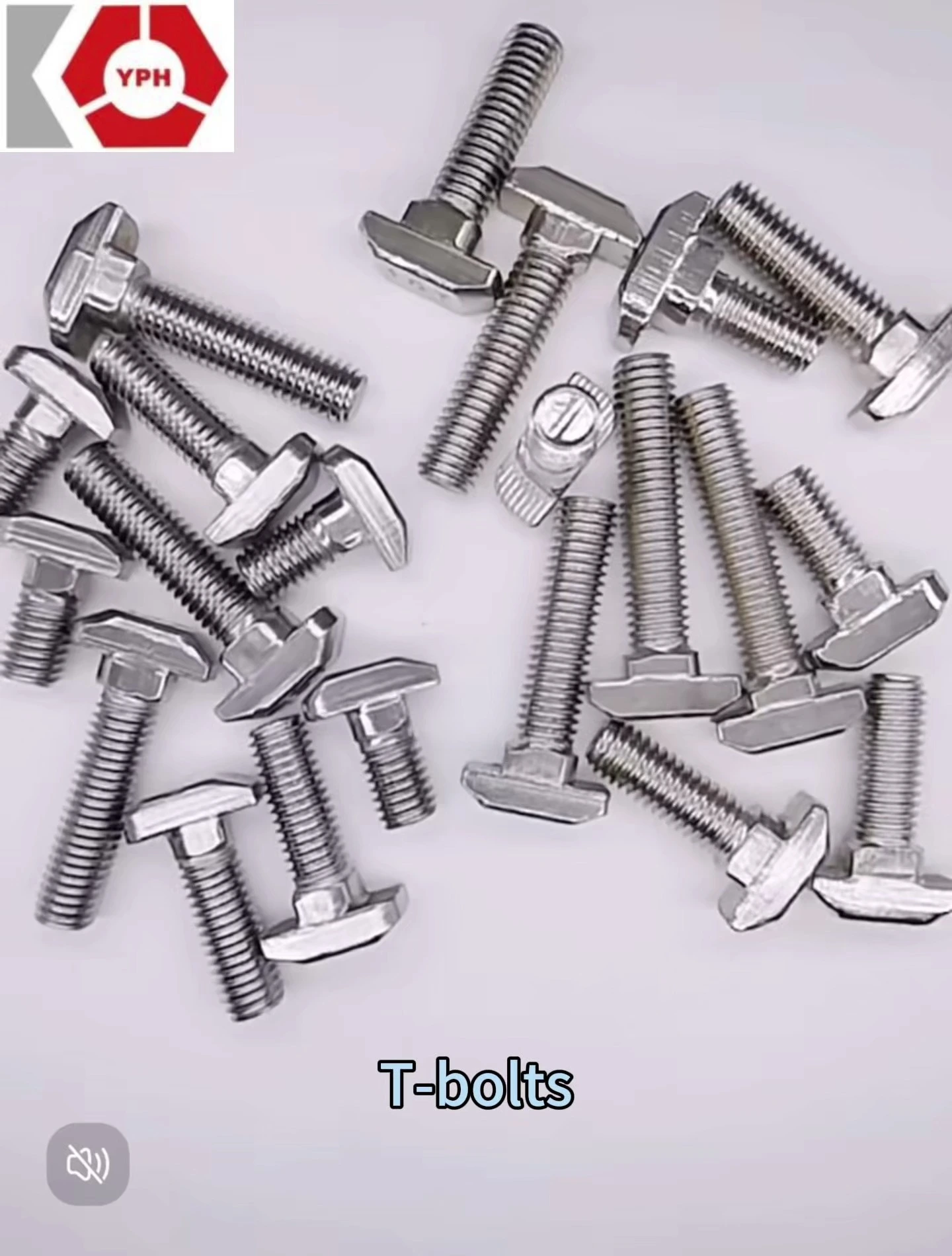 DIN 186 Disponibili Bulloni con testa a T M4 M5 M6 M8 M10 M12 M16 M20 M24 10mm con vendite dirette in fabbrica 1