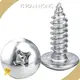 Best Long Self Tapping Screws Price List 1