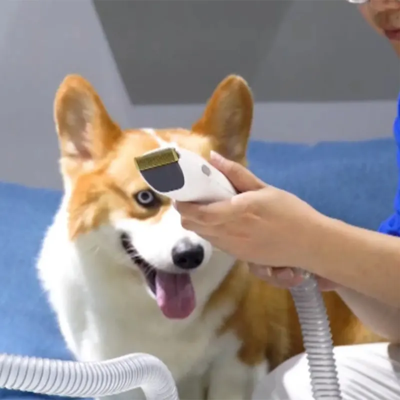 Pet Hair Vacuum - - LIYYOU 6