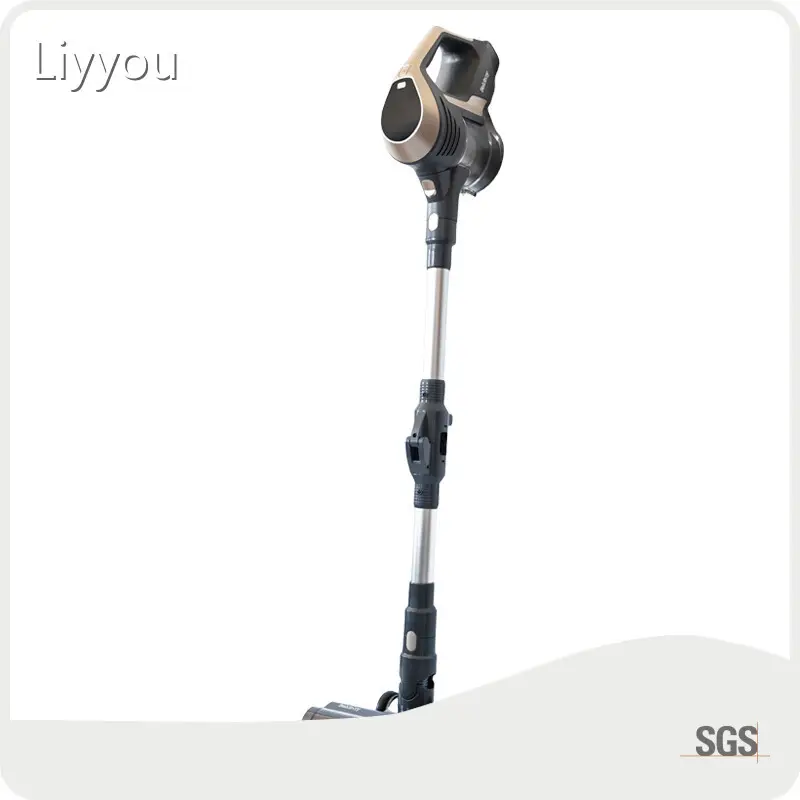Professional Car Vacuum Cleaner with Custom Services Bulk Buy 1