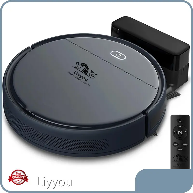 Hand Held Vacuum Cleaner Vacuum Cleaners Wholesale - LIYYOU 1