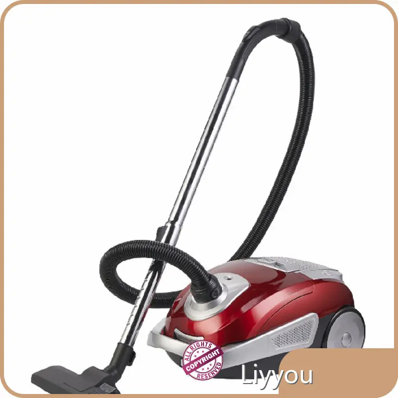 LIYYOU Upright Cordless Vacuum Cleaners Price List 1